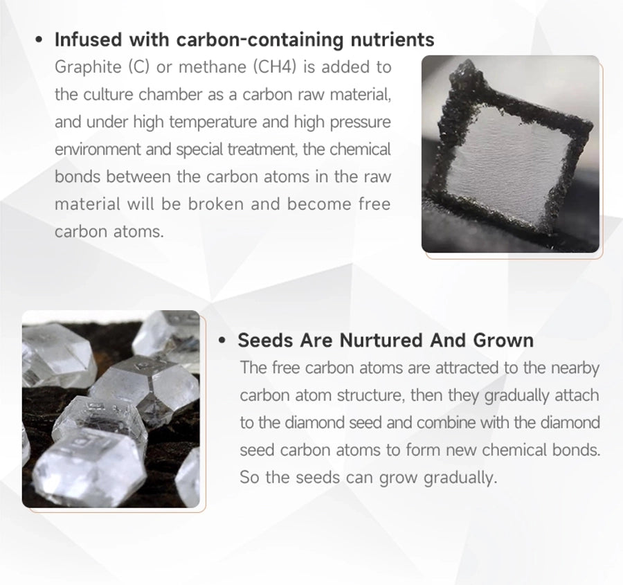 picture_5cae4513-4c8c-4a65-95b7-a0251985791e