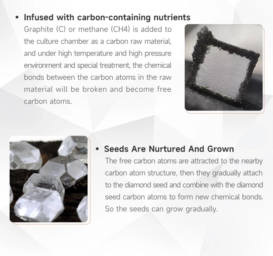 picture_f65e1585-697d-4a8c-93da-cf227e7752f3