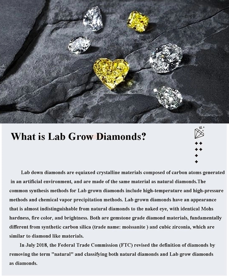 picture_fd44a568-8d34-4c85-8a4e-7c161c8d5253